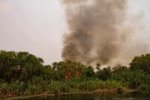One of many fires on the banks of the Sabangau river credit Abi Gwynn